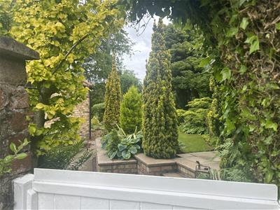 Picture 25